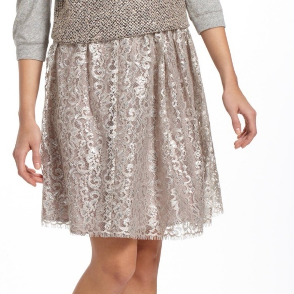 HD in Paris Anthropologie Metallic Tulle Skirt NWT